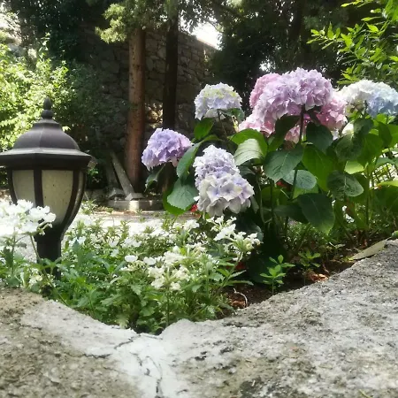 Appartamento Darinka