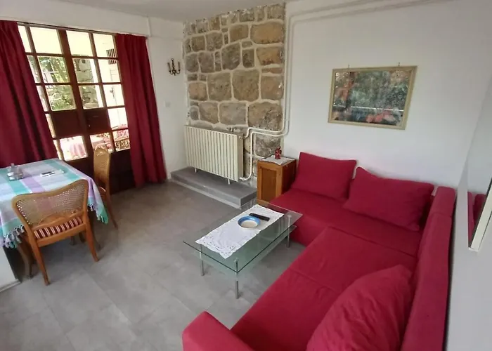 Darinka * 奥帕提亚