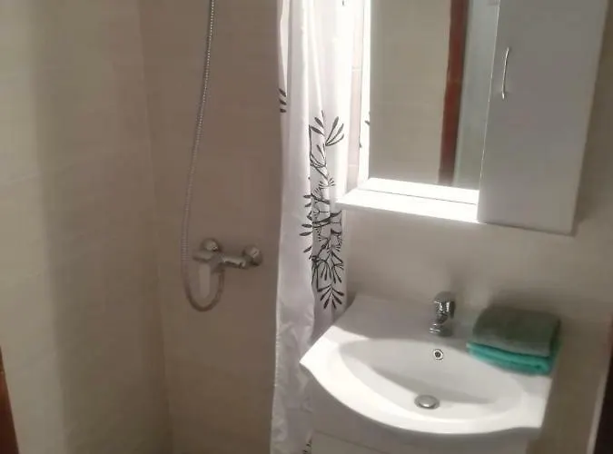 公寓 Darinka 奥帕提亚